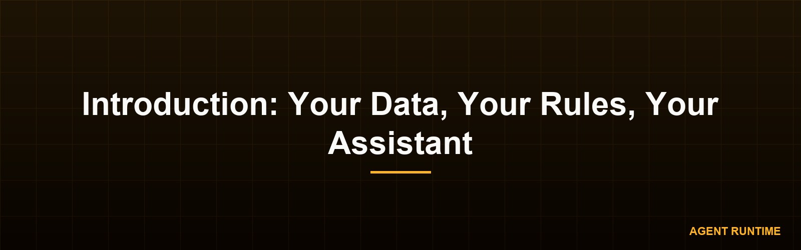 Introduction: Your Data, Your Rules, Your Assistant
