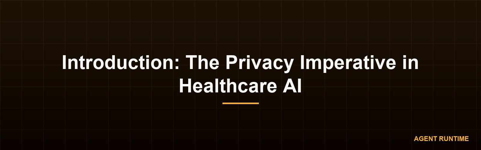 Introduction: The Privacy Imperative in Healthcare AI