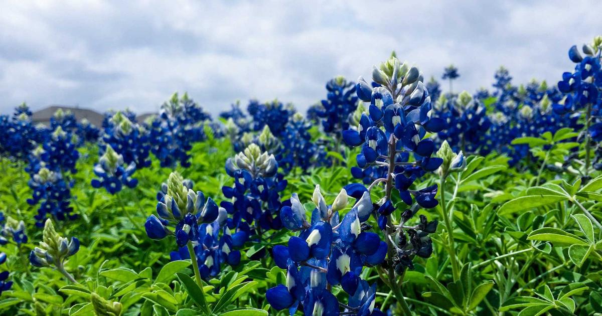 OpenClaw Core: Implementing Custom Agent Schedulers for Prioritized Task Execution in Autonomous Systems