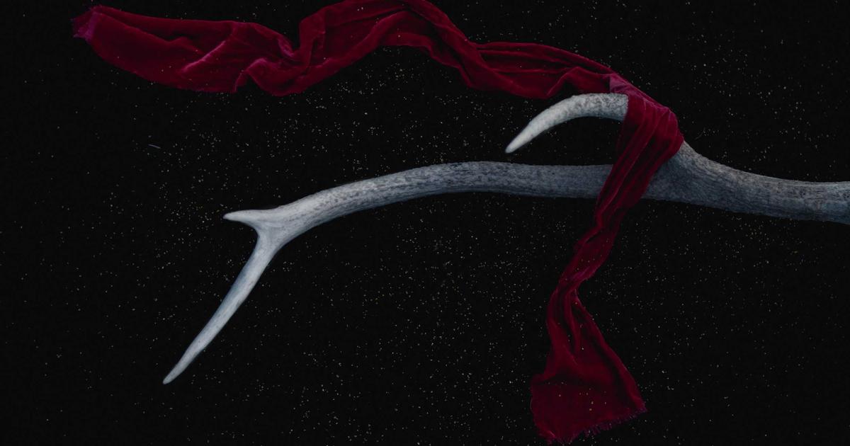 Tutorial: Building a Healthcare Diagnosis Agent with OpenClaw and Local LLMs for Patient Privacy