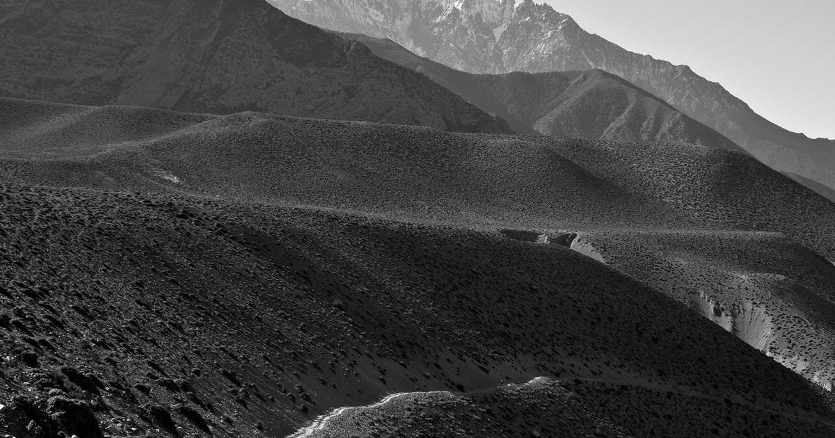 Integrating OpenClaw with Blockchain Networks: Decentralized Agent Verification and Transactions