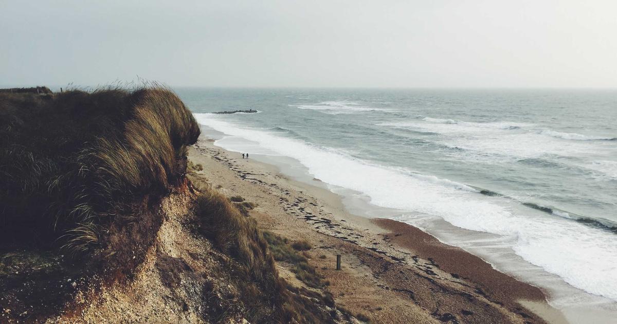 Community-Driven Agent Benchmarking: How OpenClaw Contributors Measure and Compare Agent Performance Across Deployments