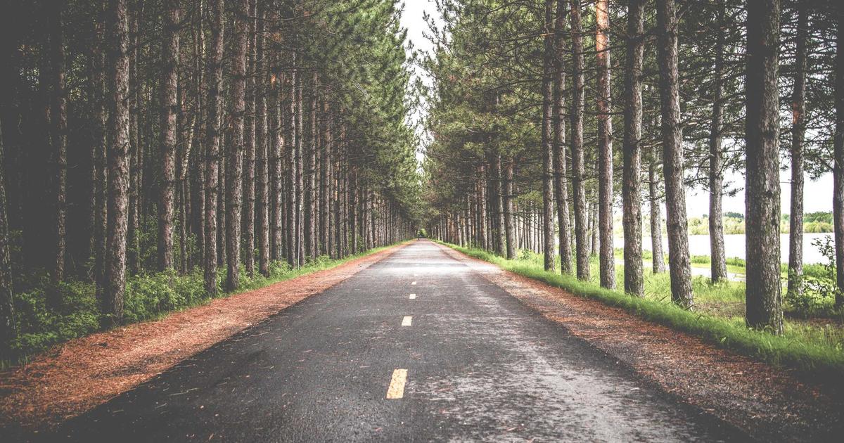 Community Spotlight: How Developers Are Pushing Boundaries with OpenClaw’s Agent-Centric Approach