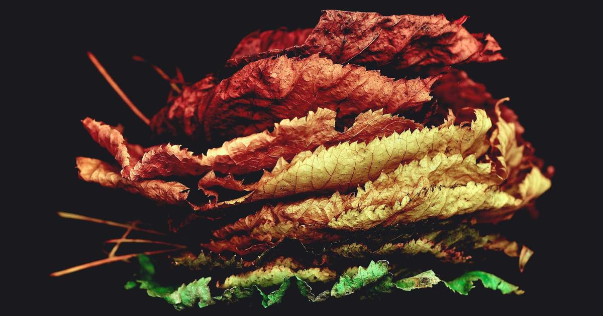 Integrating OpenClaw with Robotics Platforms: Enabling Autonomous Agent Control in Physical Environments